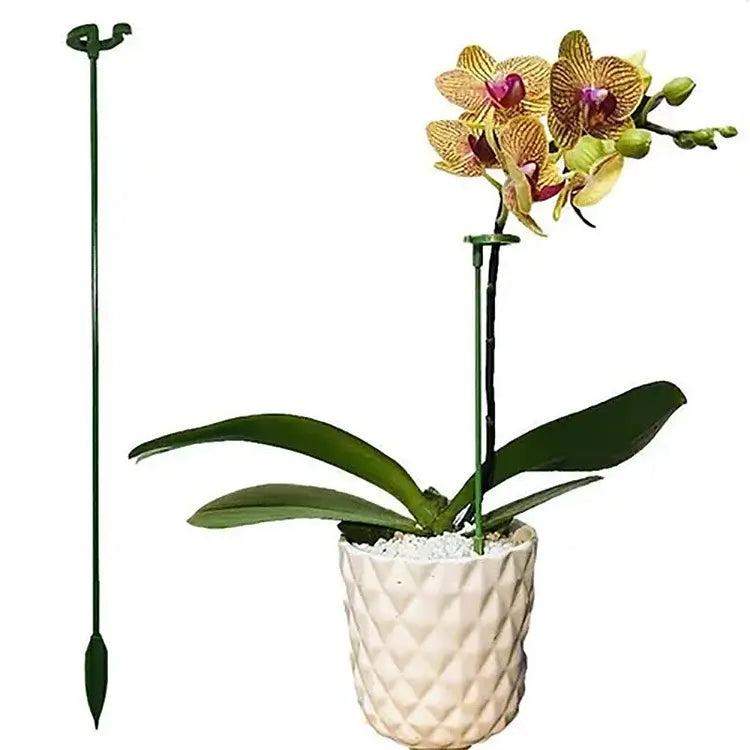 Kaufen 1+1 GRATIS | Bloomoasis™️ Pflanzenstütze Pfahl