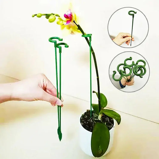 Kaufen 1+1 GRATIS | Bloomoasis™️ Pflanzenstütze Pfahl