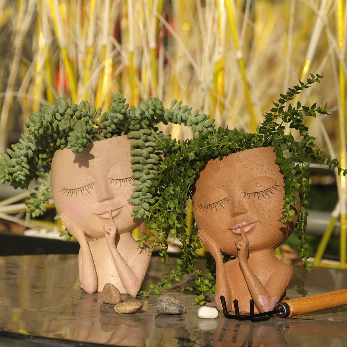 BloomOasis™ Grüne Oase Sukkulente Gesicht Pflanzer