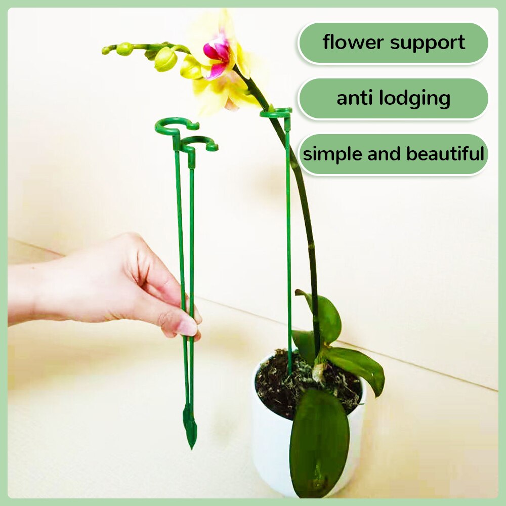 Kaufen 1+1 GRATIS | Bloomoasis™️ Pflanzenstütze Pfahl