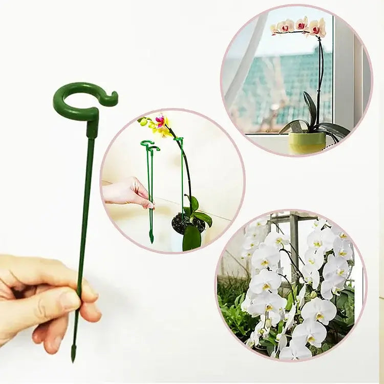 Kaufen 1+1 GRATIS | Bloomoasis™️ Pflanzenstütze Pfahl